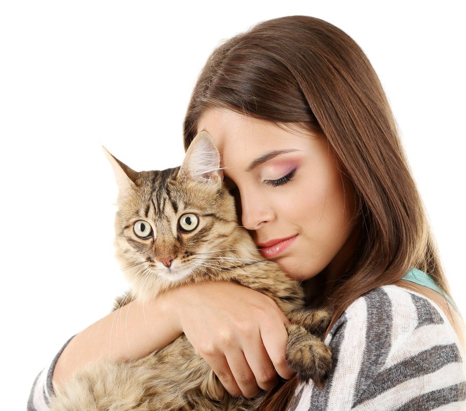 Why Does Your Cat Smell so Good? 