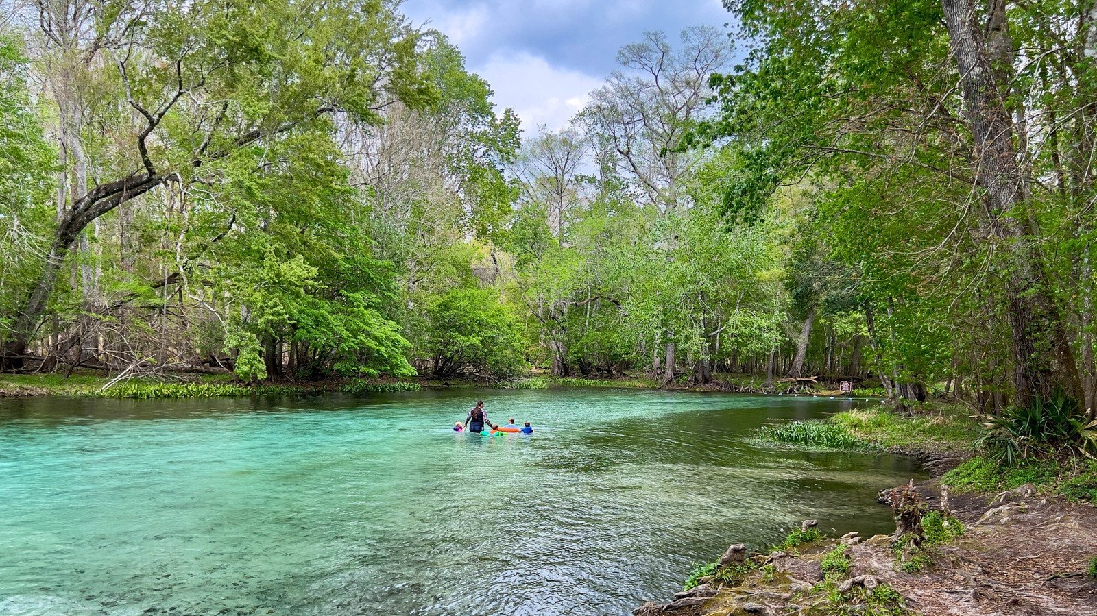 Forget Rainbow Springs, Visit Florida's Underrated State Park With Water Trails
