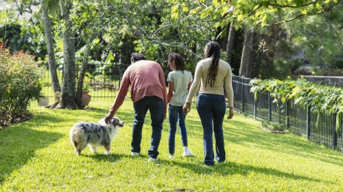 Here's How Long You Should Keep Kids And Pets Off The Lawn After Fertilizing