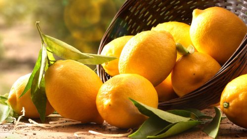 28 Lemon Hacks You Need To Know
