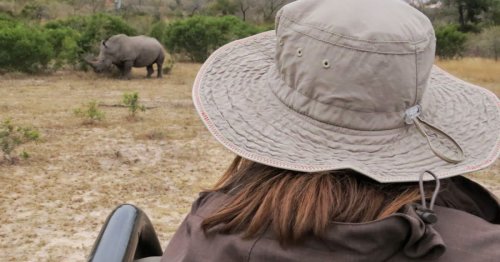 Discover South Africa: A 2-Week Adventure of Wildlife and Wonder