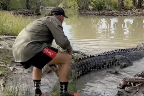 This man's close call interaction with a crocodile could have ended horribly