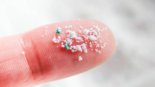 One Simple Trick Can Get Rid Of Microplastics In Your Water