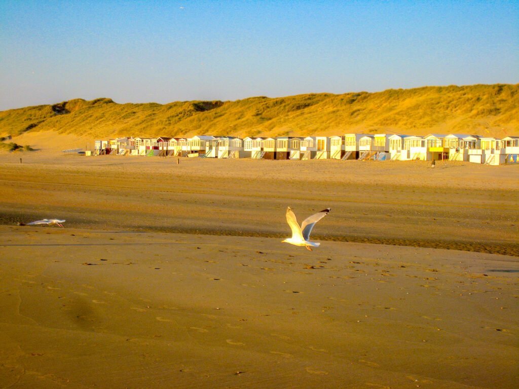 Holland im Sommer - 11 Geheimtipps für Stadt, Land, Meer 