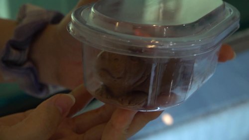 Thailand: Hyper-realistic ice cream looks like a plate of steak and fries