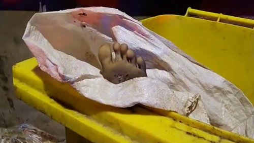 Moment police realise dismembered ‘dead body’ in bin isn’t what it looks like