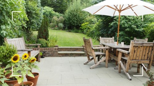 All of the gardening jobs to get done during the heatwave