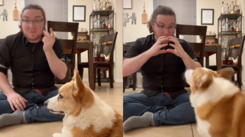 Dog’s amazing reaction to owner being deaf sums up 'why we don’t deserve them'