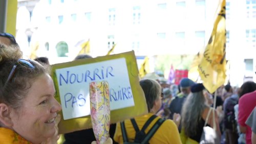 France: Protesters rally across France against controversial pesticide law