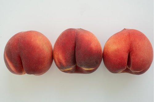 Early buttholes may not've been for pooping