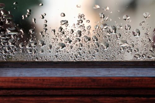 How to get rid of condensation in your home