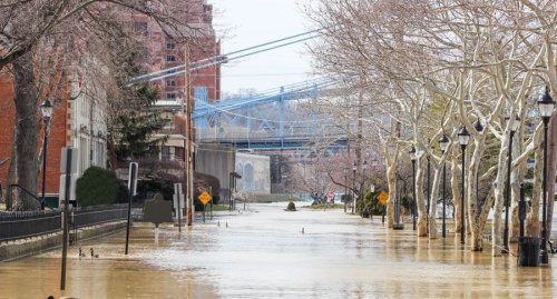 Everything you need to survive a natural disaster