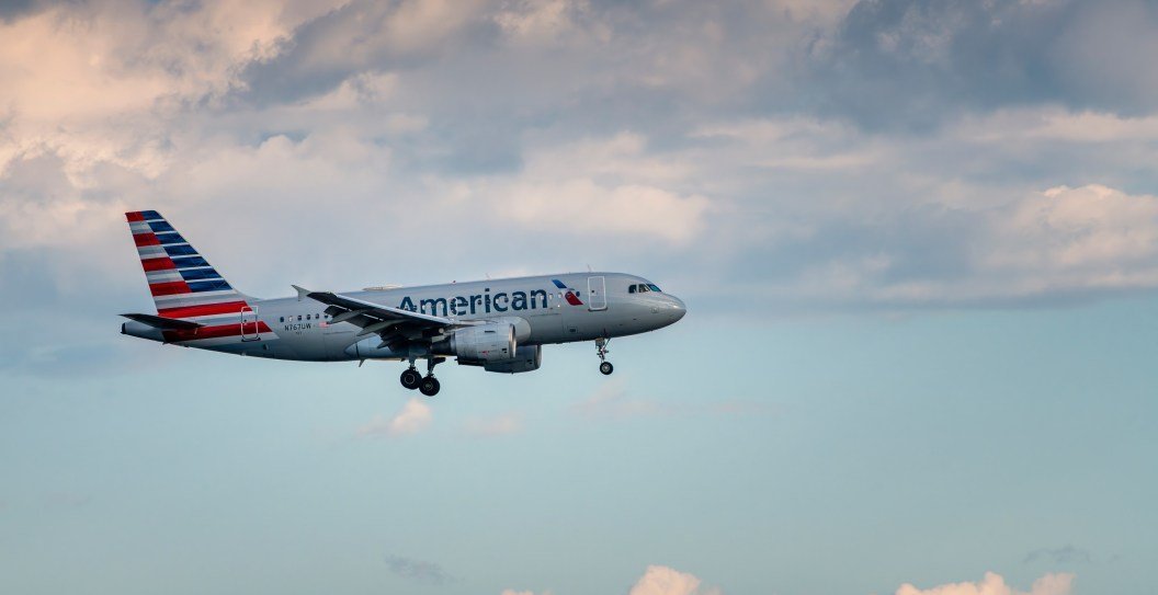 Passengers horrified as a bird almost brings down American Airlines ...