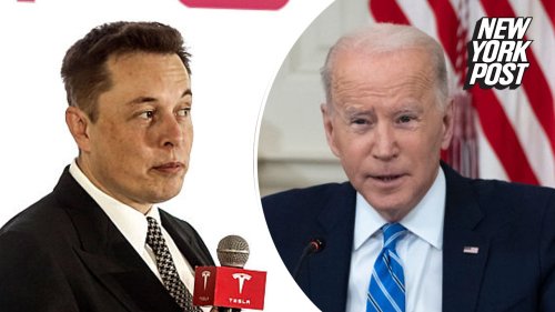 Elon Musk calls Biden a 'damp sock puppet' after White House CEO snub