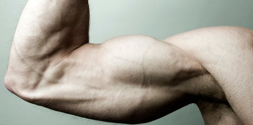 Can This Protein Reverse Muscle Aging? Here's What Science Says