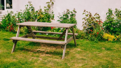 Upgrade your backyard with these low-maintenance ideas 