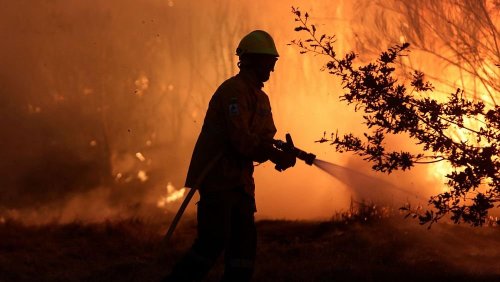 What to Know About the Wildfires Around the World