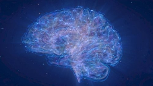 Wait What? The Universe Is Just the Human Brain Enlarged?