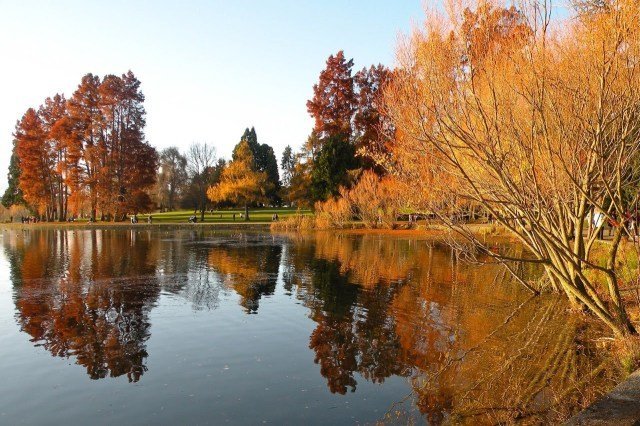 Stunning Scenery: Where to Find Fall Foliage around Seattle