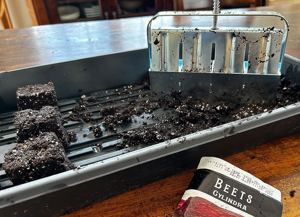 Get a Jump on Gardening Season: Everything You Need to Start Seeds Indoors