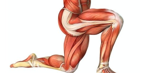 Had it With Stiff Hips And Aching Back? These 5 Stretches Are Your Fix