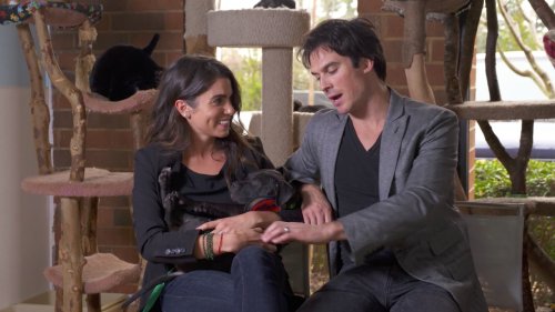 Nikki Reed and Ian Somerholder don't just have 4 dogs, 3 cats and 2 horses, they've also turned their passion for animals into action. Watch Aspireist this sunday at 8am on USA.