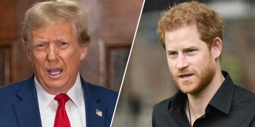 Donald Trump Hints He May Deport Prince Harry If Elected