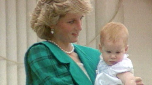 New Memoir Reveals ‘Protective’ Bond Late Princess Diana Had for Brother, Charles Spencer