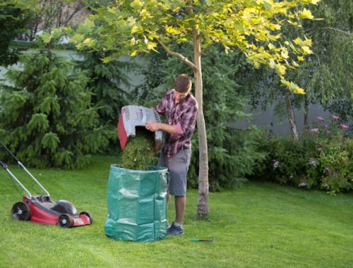 6 TIPS ON RECYCLING GRASS CLIPPINGS
