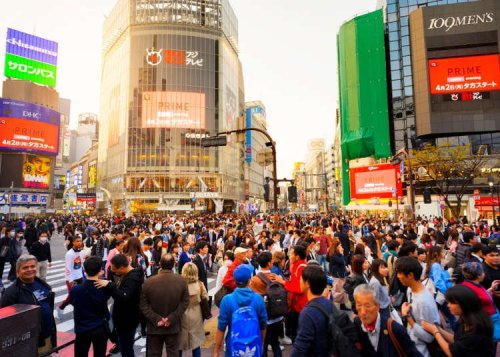 Tokyo's Shibuya Crossing: A Story of Popularity and Loyalty