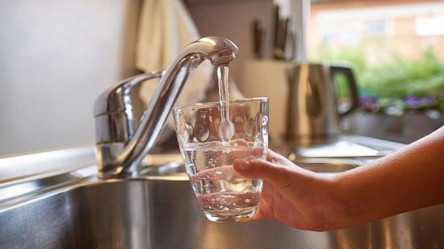 Toxic levels of 'forever chemicals' found in tap water and breast milk. How harmful are they?