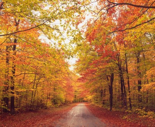 Don’t Apologize For Your Obsession With Fall. It’s Science