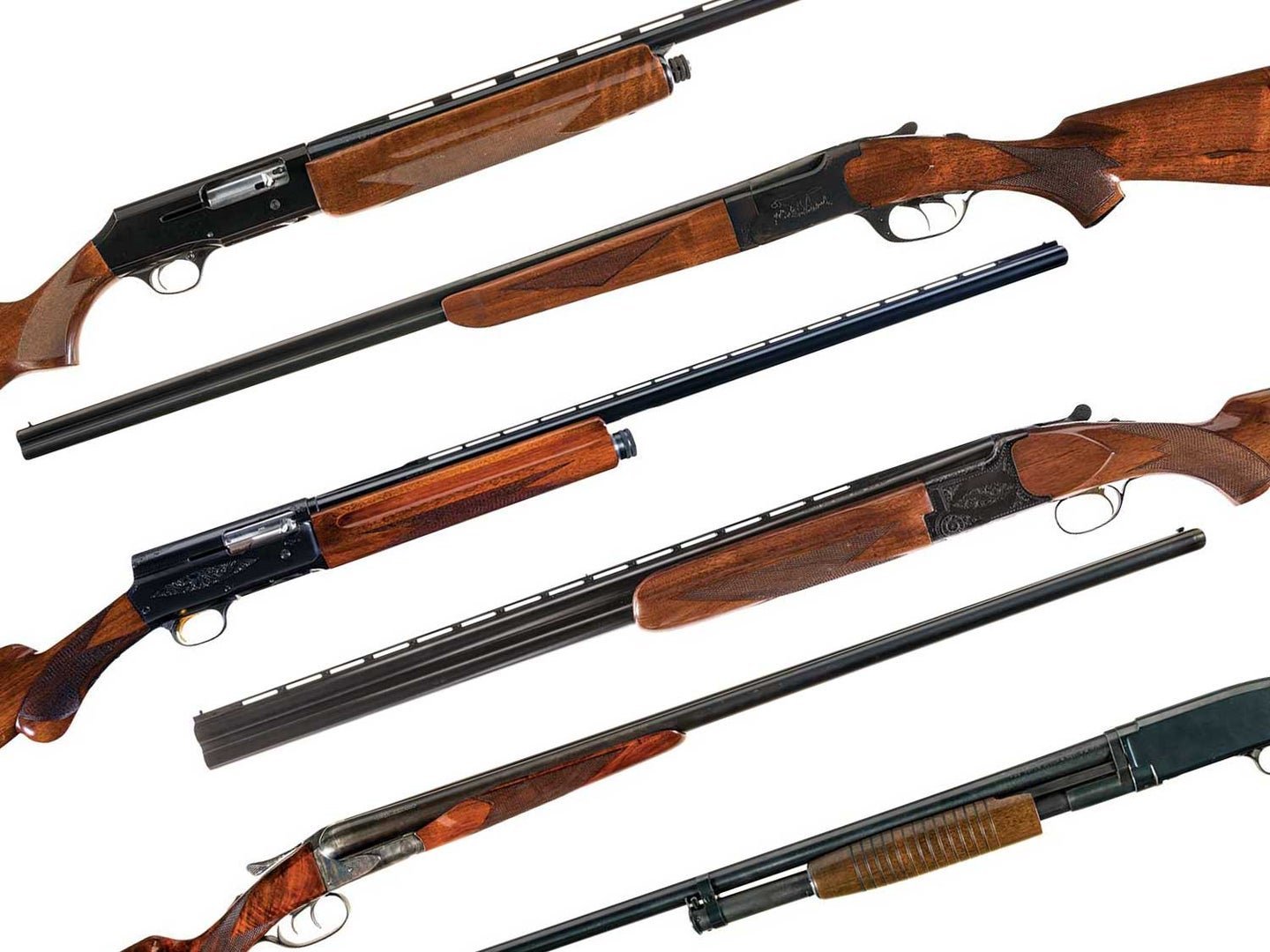 4 affordable shotguns you should own