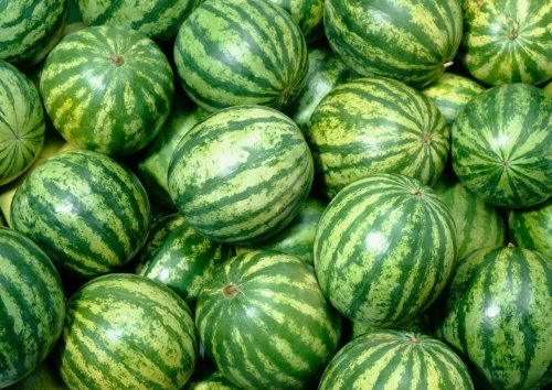 How To Pick A Perfect Watermelon