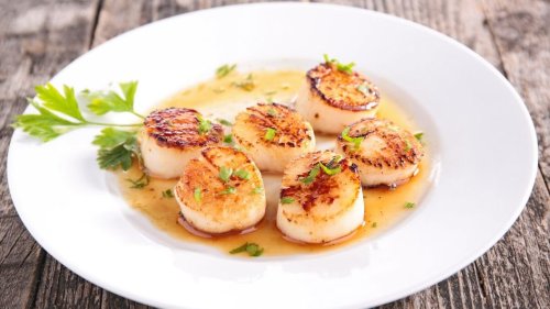 Coquilles Saint-Jacques : les ouvrir et les cuisiner