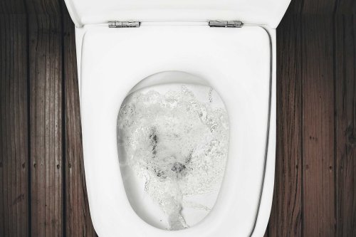 The Grossest Toilet Mistakes You Can Make