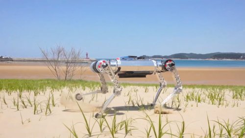 ‘Robot dog’ can tackle sand dunes at three metres per second in tech first