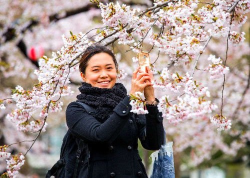 HOW TO ENJOY SPRING IN JAPAN - cover