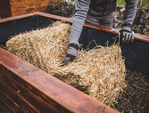 5 CHEAP WAYS TO FILL YOUR RAISED GARDEN BEDS