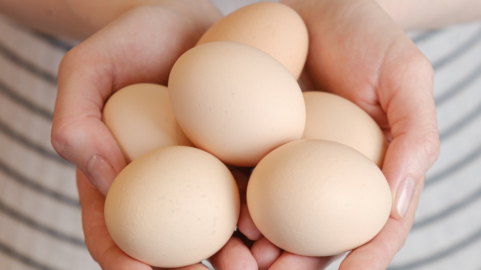 What Really Happens To Your Body When You Eat Eggs Every Day  