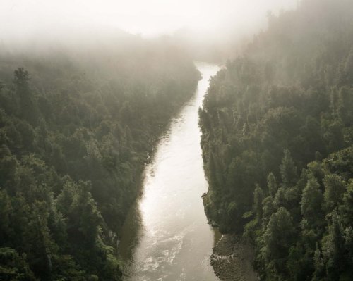 This River is Also a Legal Person—and Four More Stories You Should Read
