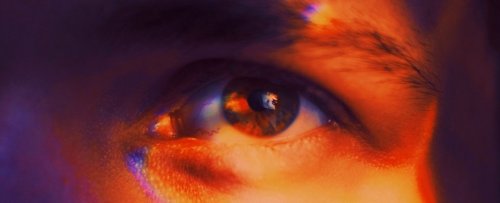Magazine - Sex Sexuality and biology