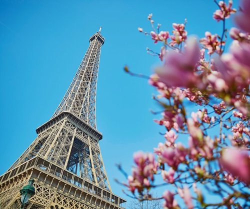 France Travel Guide 
