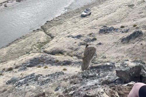 WATCH: Friends push huge boulder down hill and instantly regret their decision