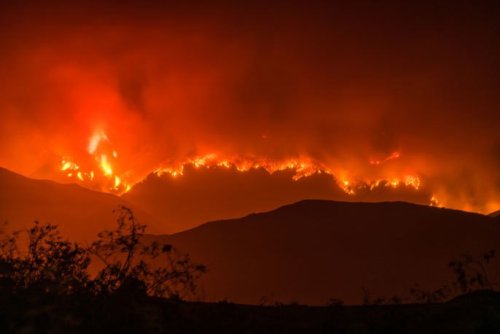 UCLA research puts wildfire risk into historic context