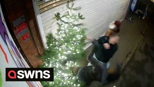 Real-life Grinch gets instant karma after he karate kicks community's Christmas tree and is sent sprawling on the ground