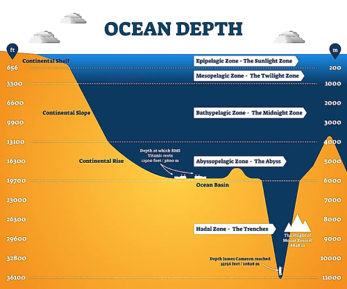 The Mariana Trench Is 7 Miles Deep: What’s Down There?
