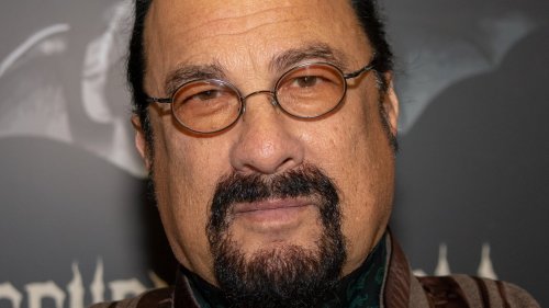 The Rise And Fall Of Steven Seagal