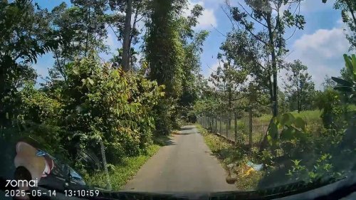 Malaysia: Couple shocked when durian drops from tree onto their car bonnet