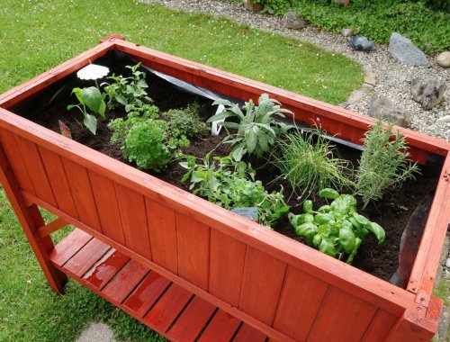 5 MATERIALS TO PUT AT THE BOTTOM OF YOUR RAISED BED